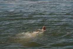 В Житомирской области утонула женщина, катаясь на лодке. Мужчина бросился ее спасать — и тоже утонул
