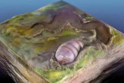 Ученые обнаружили древнейшего предка всех живых существ