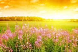 Когда Украину окончательно покинут дожди: синоптик назвал сроки