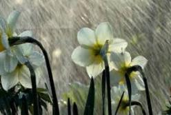 Украинцев предупредили о мощных ливнях с градом