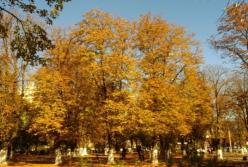 Прогноз погоды на выходные 13–14 ноября: ясные дни и морозные ночи