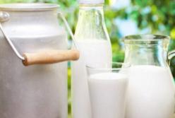 Диетолог развенчала популярные мифы о молоке