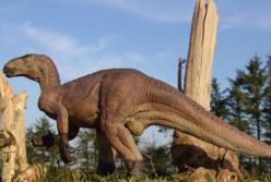 В Великобритании нашли хвост динозавра, жившего 125 миллионов лет назад (фото)