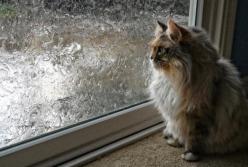 Прогноз погоды на 22 апреля: будет прохладно и ветрено