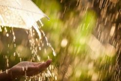 Прогноз погоды на 23 июня: дожди и грозы, но жарко