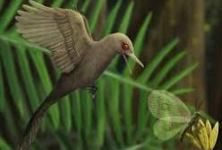 Найден самый маленький динозавр (видео)