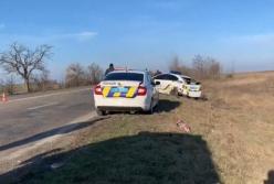 В Запорожской области два полицейских автомобиля попали в массовое ДТП (видео)