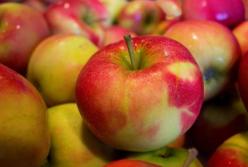 Медики объяснили, как яблоки влияют на женское здоровье