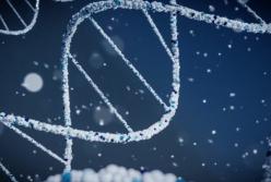 Ученые создали новый носитель информации