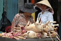 Ученые обнаружили место, где может начаться новая пандемия