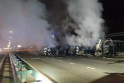 Стало известно количество жертв масштабного ДТП в Киеве (видео)