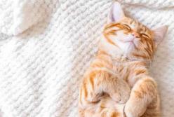 Прогноз погоды на 28 сентября: в Украине будет бушевать антициклон, но местами дождливо