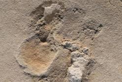 Археологов озадачила находка на Крите - может "перевернуть" историю