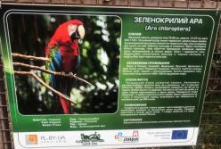 Украли экзотических попугаев с особыми приметами из Луцкого зоопарка (фото)