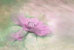 Ученые выдвинули новую теорию возникновения жизни на Земле 