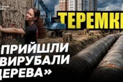 Скандал на Теремках: Київська влада зупинила будівництво теплотраси через парк після протестів