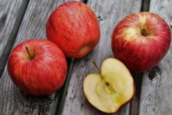 Медики рассказали о вреде яблок для здоровья