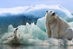 В Арктике зафиксировали 34-градусную жару