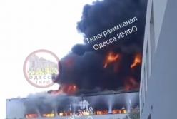 Друга армія світу спалила завод туалетного паперу "Сніжна Панда" і вбила його працівників (відео)