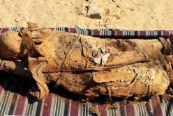 В Египте ученые обнаружили уникальные артефакты