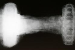 Археологи нашли редкий меч викингов с украшениями