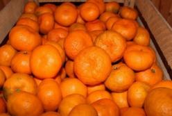 Супрун сделала сенсационное заявление о мандаринах