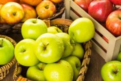 Специалисты назвали фрукты, которые полезны диабетикам