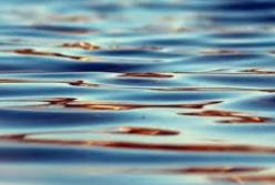 ​Ученые разгадали тайну появления жизни на Земле