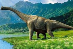 Гигантские динозавры ходили на "каблуках" - вывод ученых