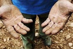 Родственники выкупили мужчину из трудового рабства - СМИ