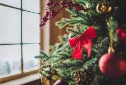 ​Прогноз погоды на Рождество: празднуем комфортно!