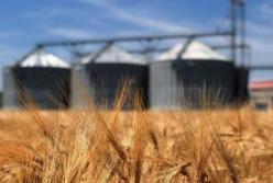 Украинский агроэкспорт вырос на $2,6 млрд
