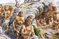 Ученые обнаружили ранее неизвестного предка человека, жившего более 11 миллионов лет назад