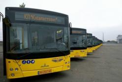 Водителям, которые отказывают в перевозке льготников, придется платить новые штрафы