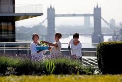 Великобритания протестирует четырехдневную рабочую неделю