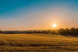 Экс-чиновники Госгеокадастра присвоили 76 га аграрной академии