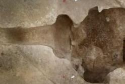 Во Франции обнаружили древний храм с человеческими останками (фото)