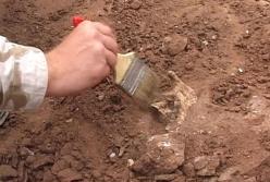 Археологи обнаружили в оккупированном Крыму древний водопровод