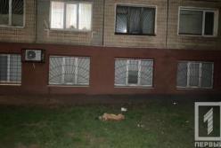 В Кривом Роге пьяный мужчина выбросил из окна собаку (фото) 