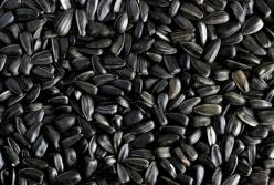 Диетологи рассказали, чем опасны для здоровья семечки