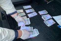 Чиновника сельсовета в Днепропетровской области задержали во время получения взятки (фото)