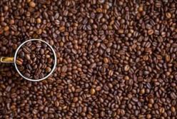 Медики выяснили от какого заболевания защищает чашка кофе