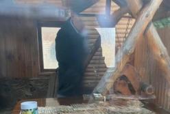 В Виннице глава автодора предлагал губернатору 4,2 млн взятки