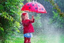 Прогноз погоды на 24 мая: страну зальют дожди