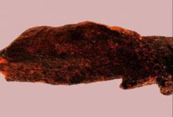 В Танзании обнаружили удивительную находку