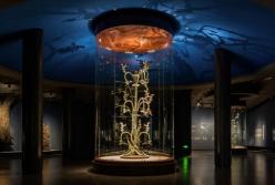 Археологи раскопали священное бронзовое дерево, которому более 3 тысяч лет (фото)