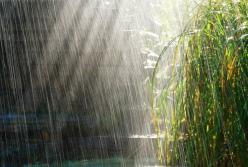 Прогноз погоды на 28 августа: осенние дожди и немного солнца