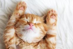 Прогноз погоды на 18 марта: порывистый ветер и осадки