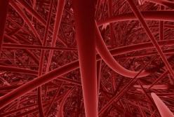 Диетолог назвал продукты для здоровья сосудов