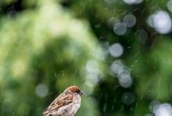 ​К понедельнику арктическая масса захватит почти всю территорию Украины